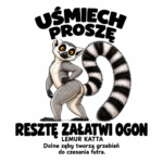 Lemur katta — Lemur katta — zestaw 10 różnych naklejek