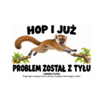 Lemuria płowa — Lemuria płowa — zestaw 10 różnych naklejek