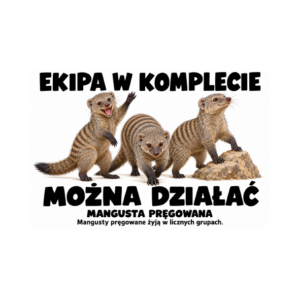 Mangusta pręgowana — zestaw 10 różnych naklejek