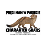 Mangusta pręgowana — Mangusta pręgowana — zestaw 10 różnych naklejek