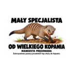 Mangusta pręgowana — Mangusta pręgowana — zestaw 10 różnych naklejek