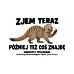 Mangusta pręgowana — Mangusta pręgowana — zestaw 10 różnych naklejek