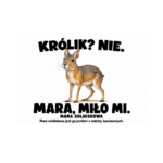 Mara solniskowa — Mara solniskowa — zestaw 10 różnych naklejek