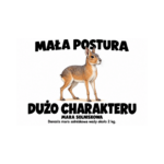 Mara solniskowa — Mara solniskowa — zestaw 10 różnych naklejek