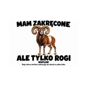 Muflon — zestaw 10 różnych naklejek