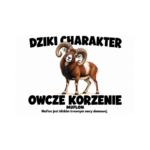Muflon — Muflon — zestaw 10 różnych naklejek