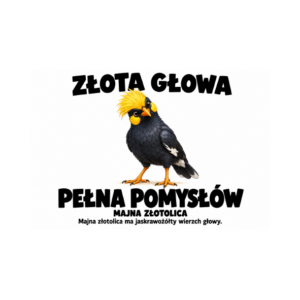 Majna złotolica — zestaw 10 różnych naklejek