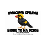 Majna złotolica — Majna złotolica — zestaw 10 różnych naklejek