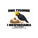 Majna złotolica — Majna złotolica — zestaw 10 różnych naklejek