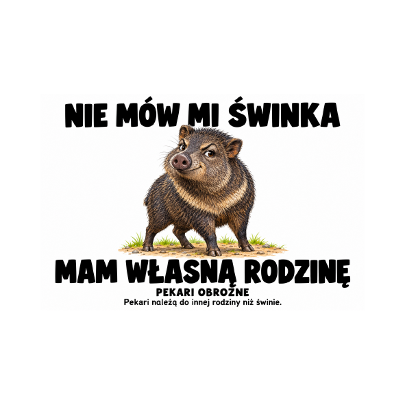 Pekari obrożne — Pekari obrożne — zestaw 10 różnych naklejek