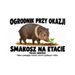 Pekari obrożne — Pekari obrożne — zestaw 10 różnych naklejek