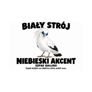 Szpak balijski — Szpak balijski — zestaw 10 różnych naklejek