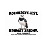 Szpak czarnoszyi — Szpak czarnoszyi — zestaw 10 różnych naklejek