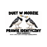 Szpak czarnoszyi — Szpak czarnoszyi — zestaw 10 różnych naklejek