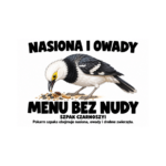 Szpak czarnoszyi — Szpak czarnoszyi — zestaw 10 różnych naklejek