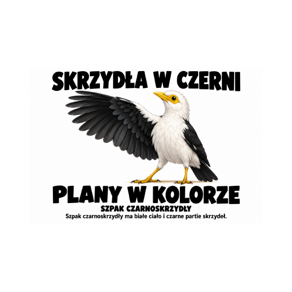 Szpak czarnoskrzydły — Szpak czarnoskrzydły — zestaw 10 różnych naklejek