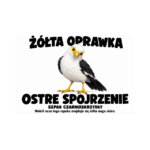Szpak czarnoskrzydły — Szpak czarnoskrzydły — zestaw 10 różnych naklejek