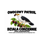 Szpak czarnoskrzydły — Szpak czarnoskrzydły — zestaw 10 różnych naklejek