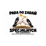 Szpak czarnoskrzydły — Szpak czarnoskrzydły — zestaw 10 różnych naklejek