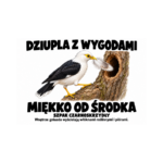Szpak czarnoskrzydły — Szpak czarnoskrzydły — zestaw 10 różnych naklejek