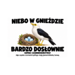 Szpak czarnoskrzydły — Szpak czarnoskrzydły — zestaw 10 różnych naklejek