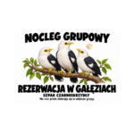 Szpak czarnoskrzydły — Szpak czarnoskrzydły — zestaw 10 różnych naklejek
