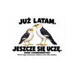 Szpak czarnoskrzydły — Szpak czarnoskrzydły — zestaw 10 różnych naklejek