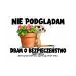 Surykatka — Surykatka — zestaw 10 różnych naklejek