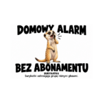 Surykatka — Surykatka — zestaw 10 różnych naklejek