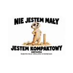 Surykatka — Surykatka — zestaw 10 różnych naklejek