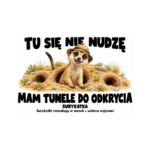 Surykatka — Surykatka — zestaw 10 różnych naklejek