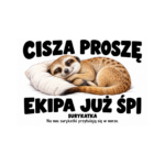 Surykatka — Surykatka — zestaw 10 różnych naklejek