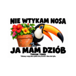 Tukan toko — Tukan toko — zestaw 10 różnych naklejek