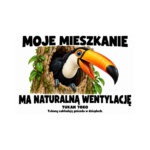 Tukan toko — Tukan toko — zestaw 10 różnych naklejek