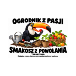 Tukan toko — Tukan toko — zestaw 10 różnych naklejek