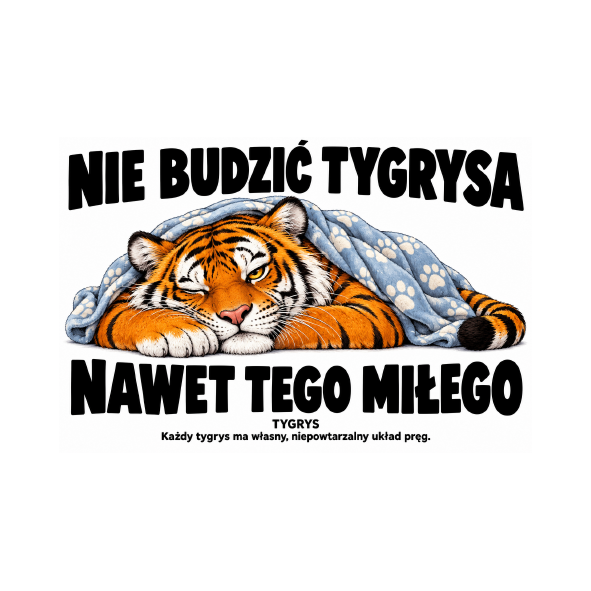 Tygrys — zestaw 10 różnych naklejek