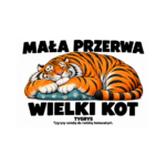 Tygrys — Tygrys — zestaw 10 różnych naklejek