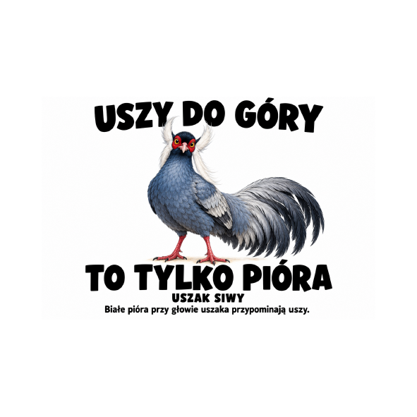 Uszak siwy — Uszak siwy — zestaw 10 różnych naklejek