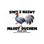 Uszak siwy — Uszak siwy — zestaw 10 różnych naklejek