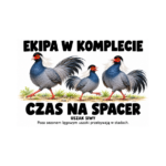 Uszak siwy — Uszak siwy — zestaw 10 różnych naklejek