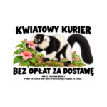 Wari czarno-biały — Wari czarno-biały — zestaw 10 różnych naklejek