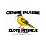 Wilga chińska — Wilga chińska — zestaw 10 różnych naklejek