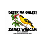 Wilga chińska — Wilga chińska — zestaw 10 różnych naklejek