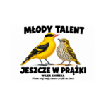 Wilga chińska — Wilga chińska — zestaw 10 różnych naklejek