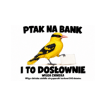 Wilga chińska — Wilga chińska — zestaw 10 różnych naklejek