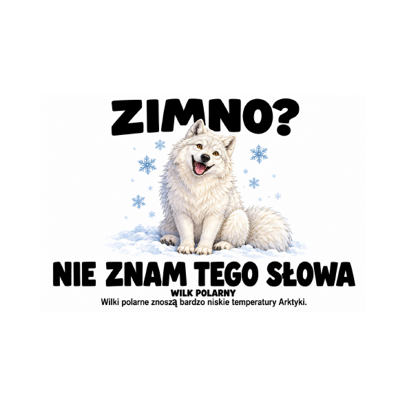 Wilk polarny — Wilk polarny — zestaw 10 różnych naklejek