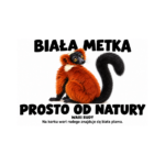 Wari rudy — Wari rudy — zestaw 10 różnych naklejek