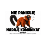 Wari rudy — Wari rudy — zestaw 10 różnych naklejek