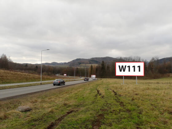 W111 — ul. Strzegomska DW379