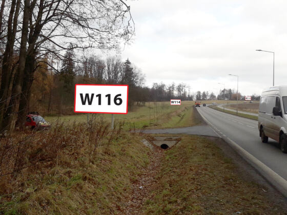 W116 — ul. Strzegomska DW379